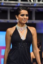 Model walk for a Jewellery show on 6th Aug 2016